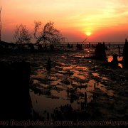 2012 Sundarbans